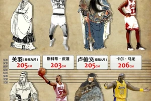  篮球运动员的身高对比赛的重要性：策略与趋势分析